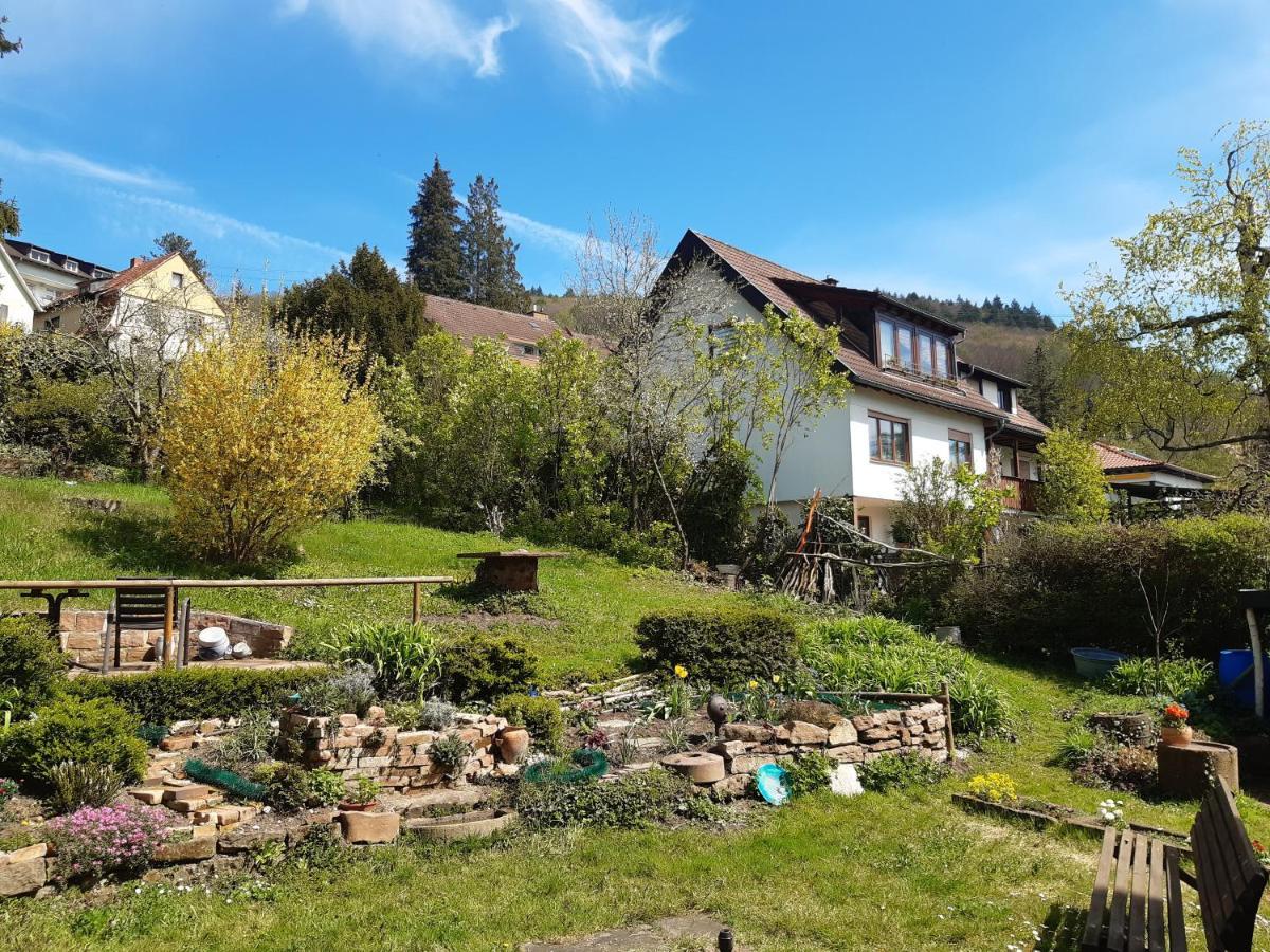 Gaestehaus Endrich Heidelberg Exterior photo